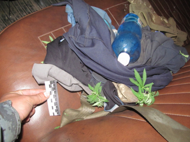 3(133).jpg 3(133).jpg